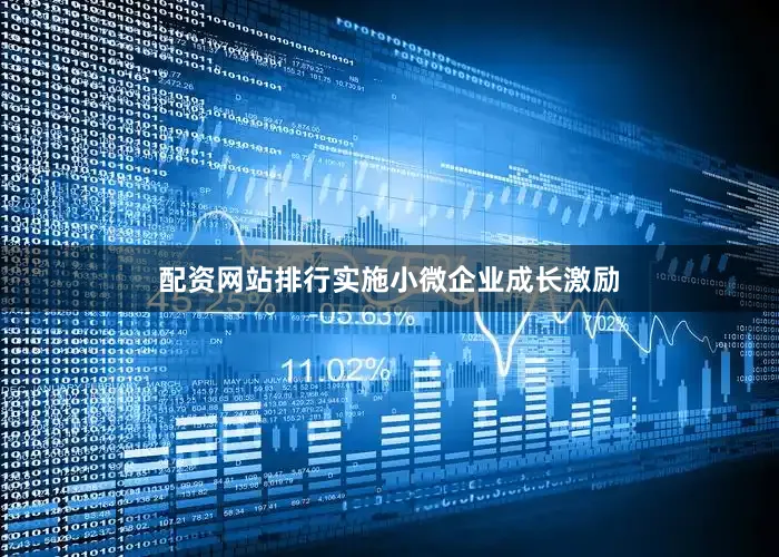 配资网站排行　　实施小微企业成长激励