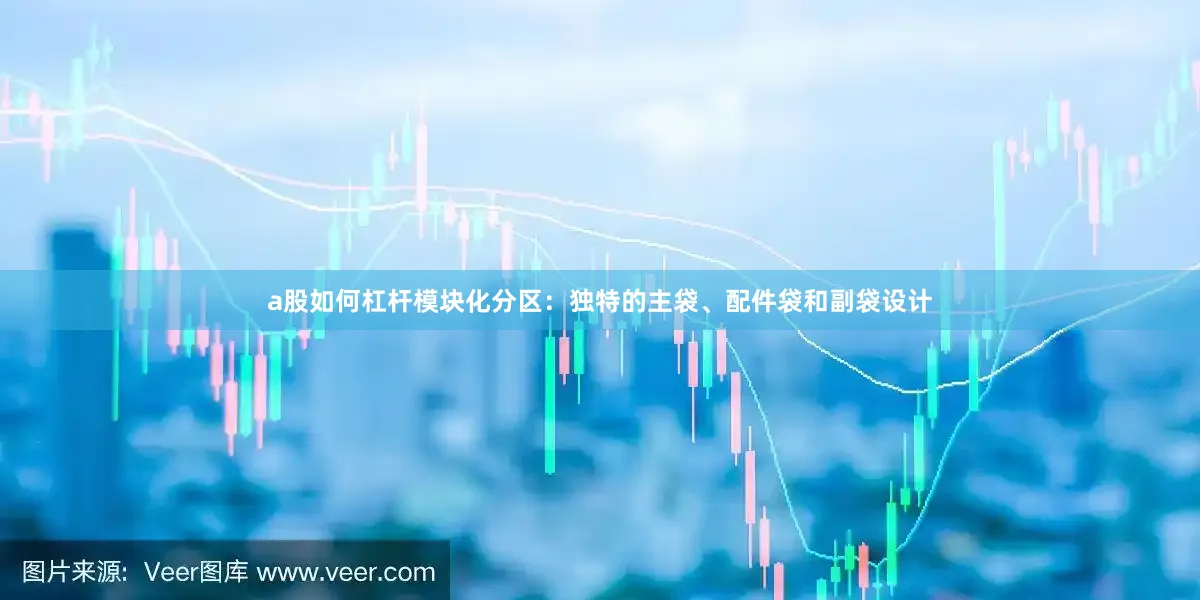 a股如何杠杆模块化分区：独特的主袋、配件袋和副袋设计