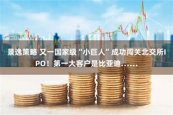 景逸策略 又一国家级“小巨人”成功闯关北交所IPO！第一大客户是比亚迪……